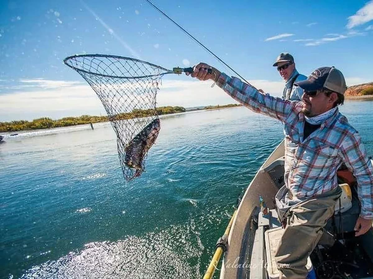 Pesca con mosca