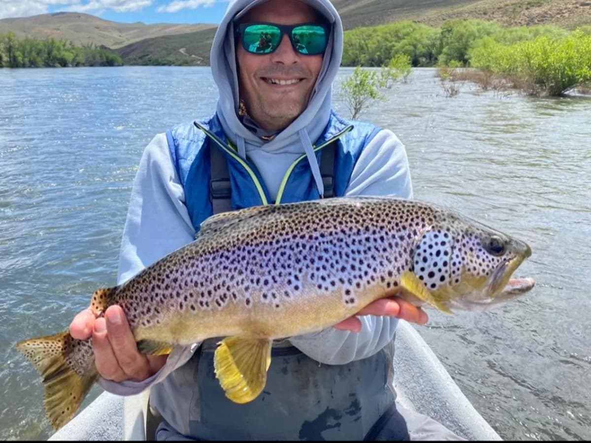 Pesca con mosca